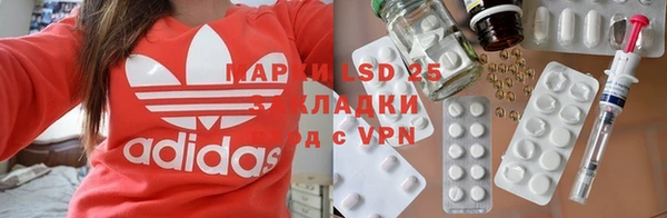 ГАЛЛЮЦИНОГЕННЫЕ ГРИБЫ Елабуга