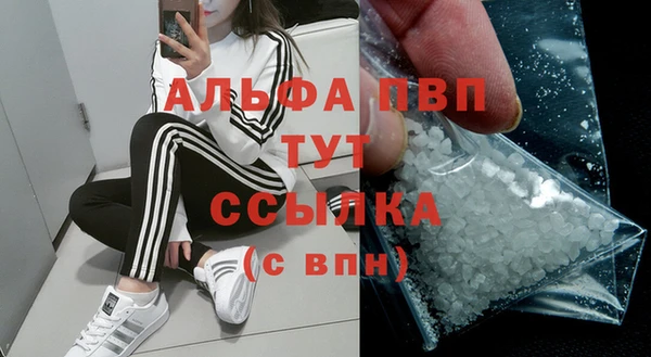 ГАЛЛЮЦИНОГЕННЫЕ ГРИБЫ Елабуга