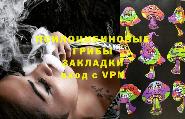 ГАЛЛЮЦИНОГЕННЫЕ ГРИБЫ Елабуга