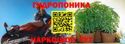 гашишное масло Берёзовский