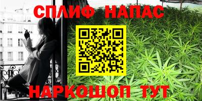 гашишное масло Берёзовский