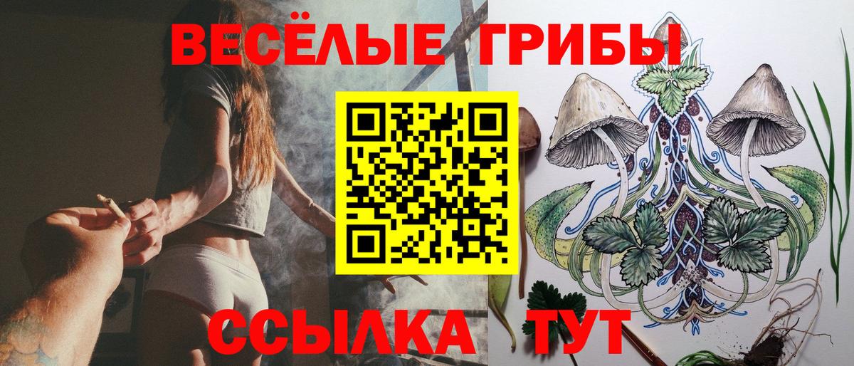 Псилоцибиновые грибы Psilocybe Барнаул