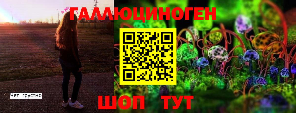 Псилоцибиновые грибы Psilocybe Барнаул