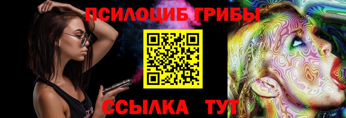 купить закладку  Вход с VPN  Барнаул  Псилоцибиновые грибы Cubensis 